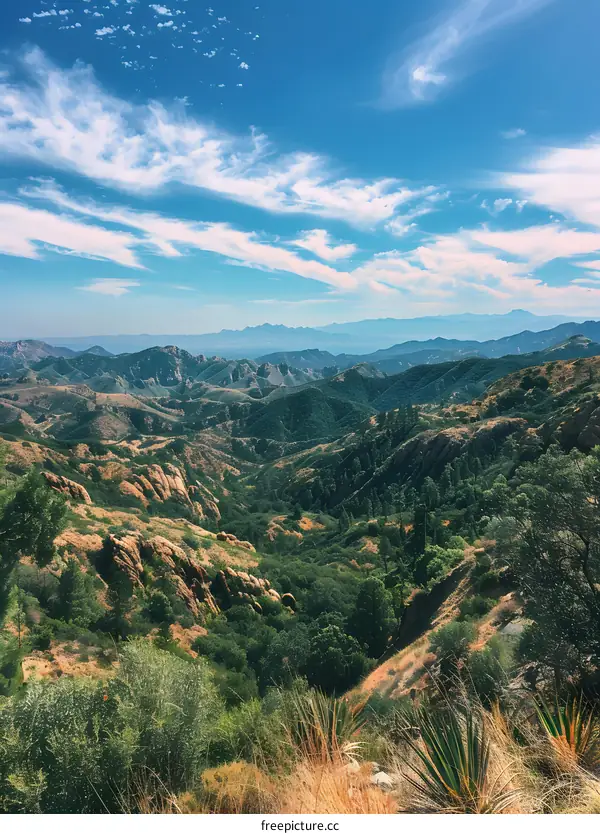 Mountain Vista View From Above