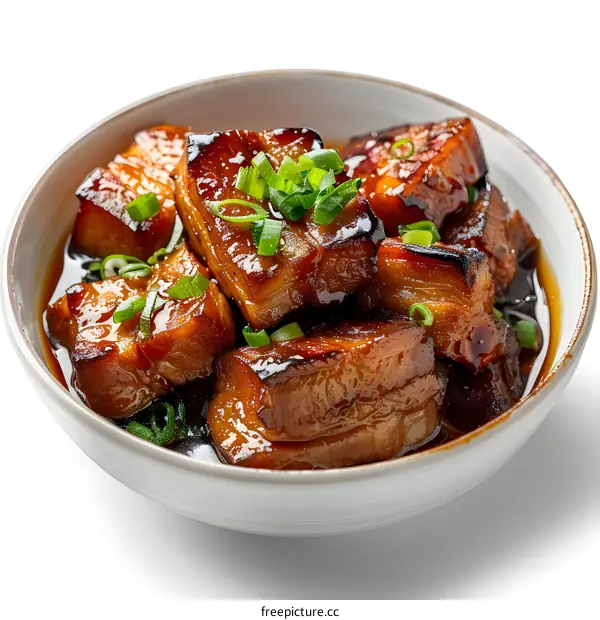 Bowl of Delicious Braised Pork Belly
