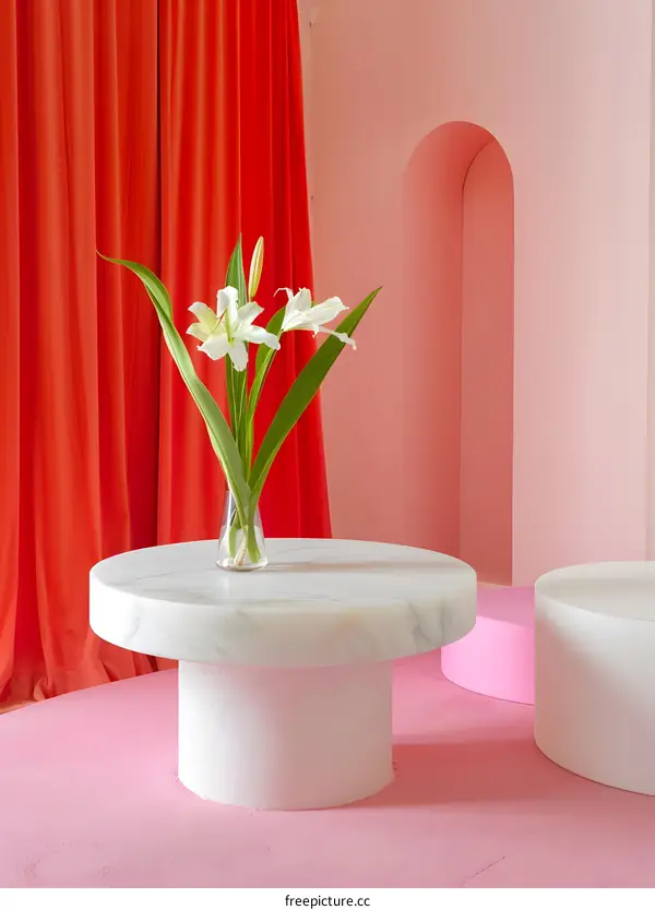 White Flowers in Vase on Marble Table with Red Curtain and Pink Wall