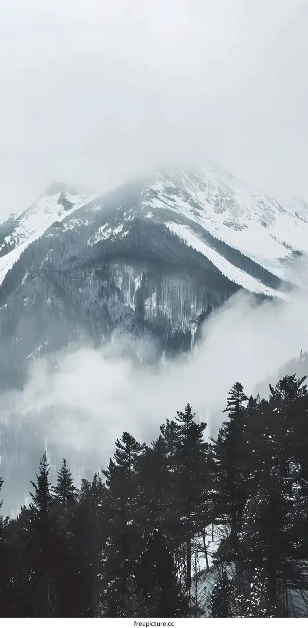 Misty Mountain Landscape with Snow Covered Peak