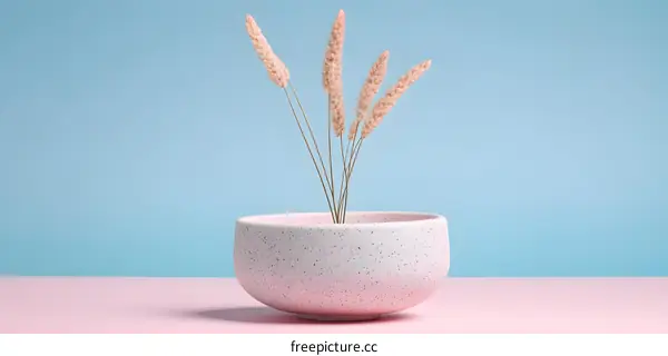 Minimalist Still Life with Dried Grass and Pink Pot on Blue and Pink Background