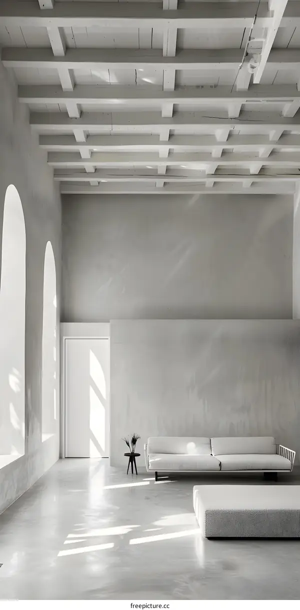 Minimalist Modern Living Room with Exposed Wooden Beams and White Walls