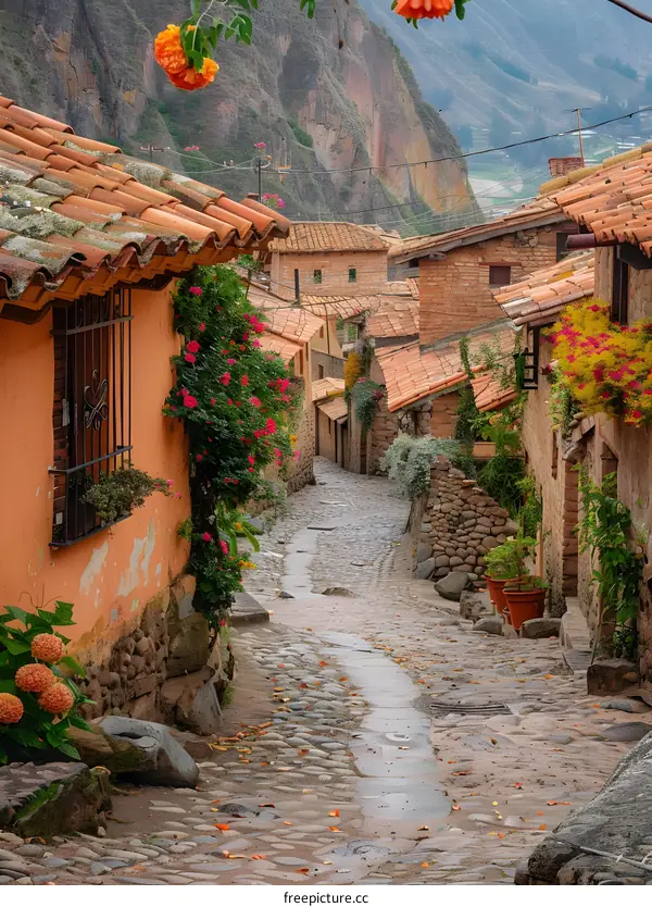A narrow street with stone houses and colorful flowers in a small village