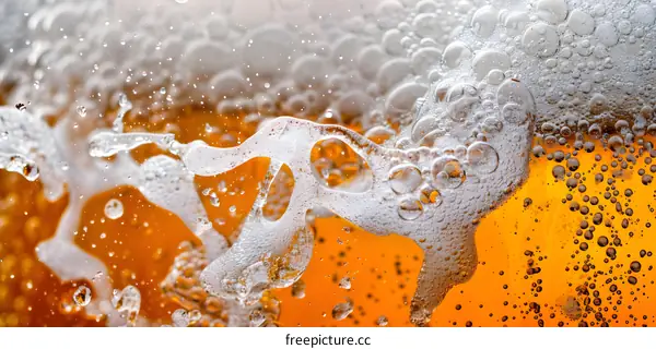 Close Up of Beer Foam and Bubbles