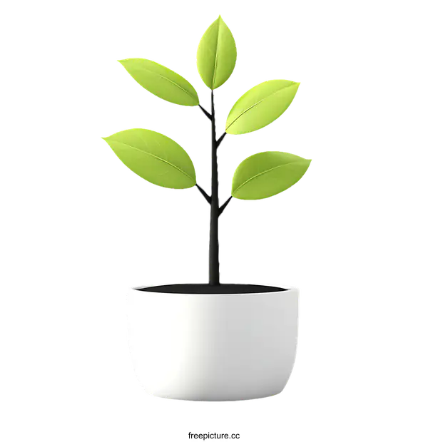[Transparent Background PNG]Growing Plant in a White Pot Illustration