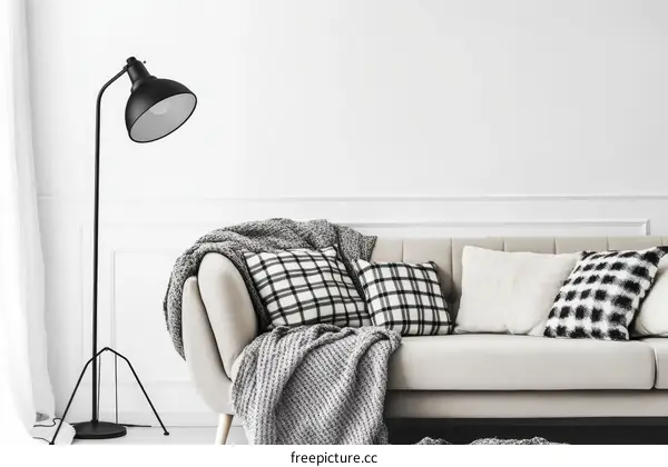 Modern Living Room Interior Design with Black and White Accents