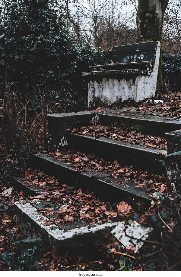 Stone Stairs Covered in Fallen Autumn Leaves