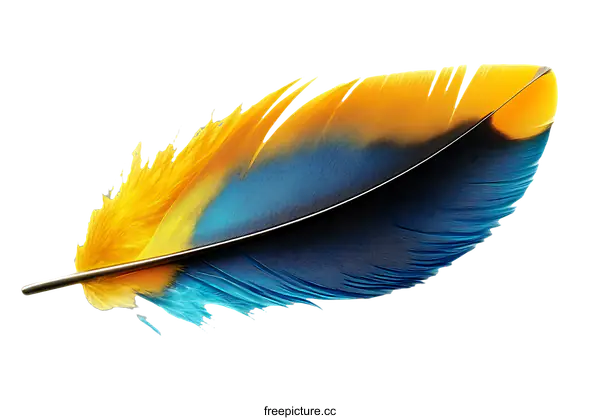 [Transparent Background PNG]Colorful Bird Feather Close-up