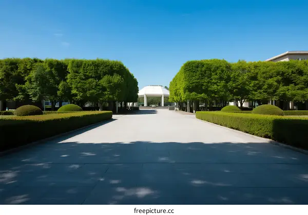 A wide pathway lined with neatly trimmed trees leading to a building under clear sky