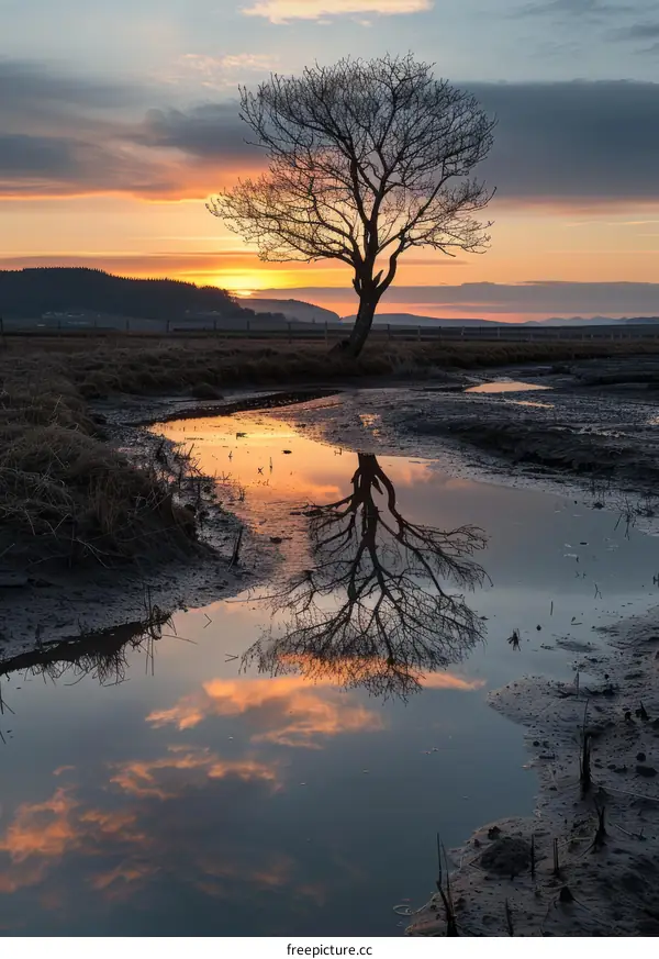 Sunset Over the Salt Marsh