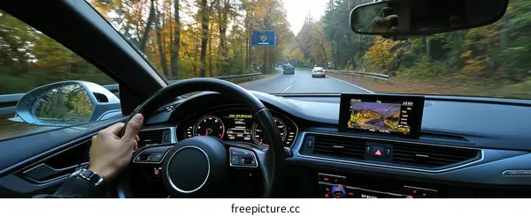 Driving Scenic Road in a Car