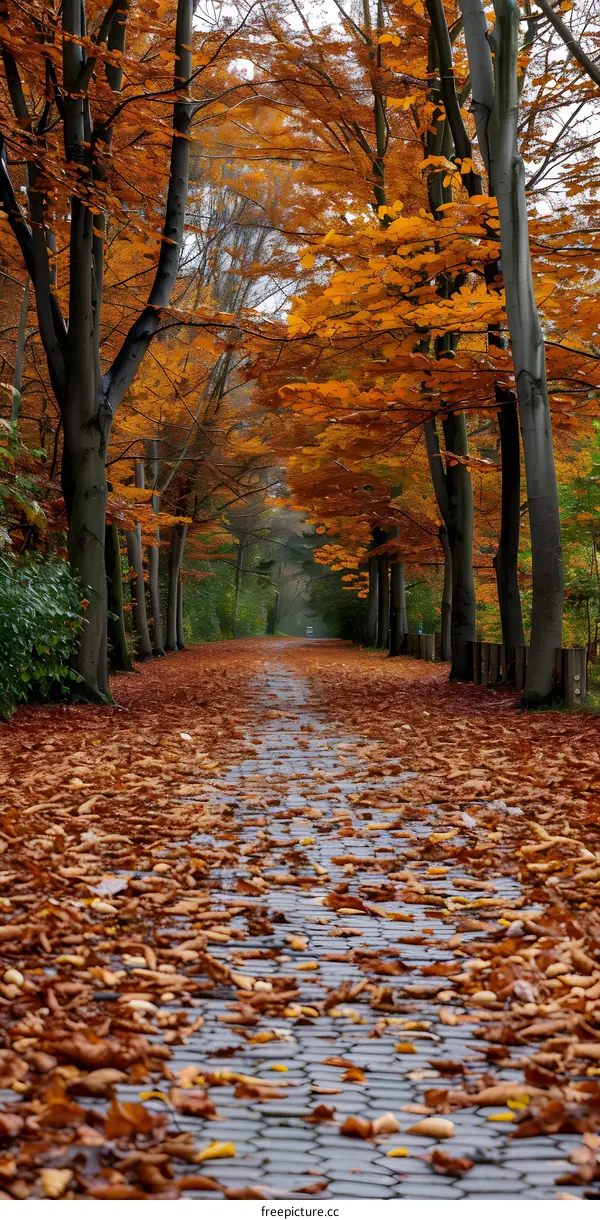 Charming brick road in autumn park