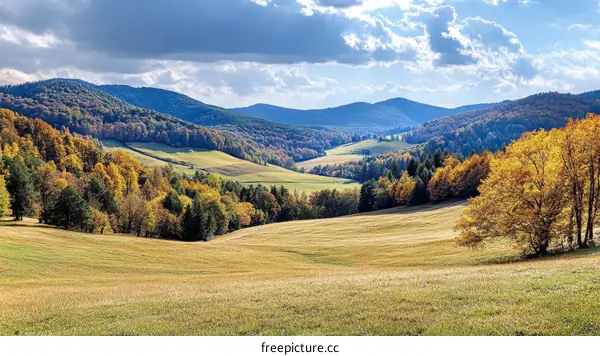 Autumnal Mountain Valley Landscape