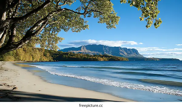 Serene Beach Scene with Mountain Backdrop