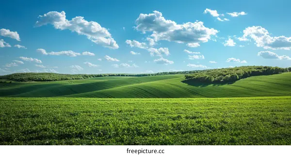 Green rolling hills under blue sky with white clouds
