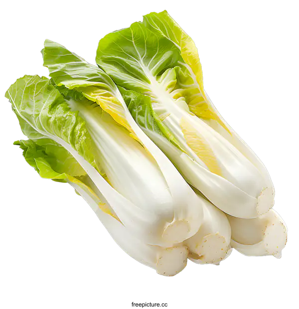 [Transparent Background PNG]Chinese cabbage also known as Napa cabbage