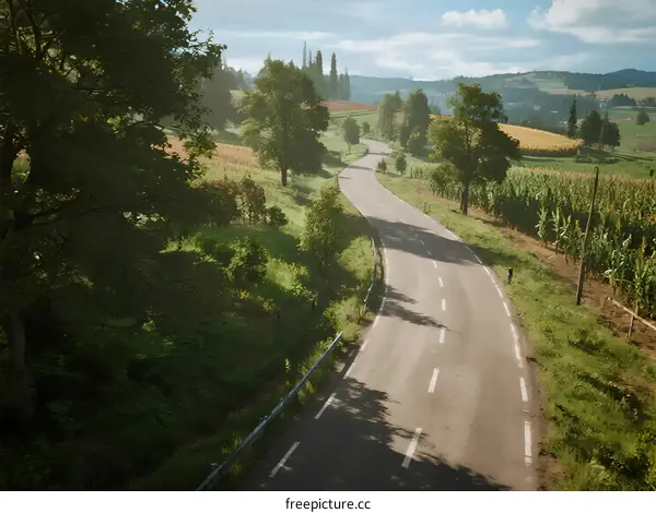 Scenic winding road surrounded by lush green fields and trees