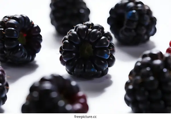 Fresh and Juicy Blackberries Arranged on White Background
