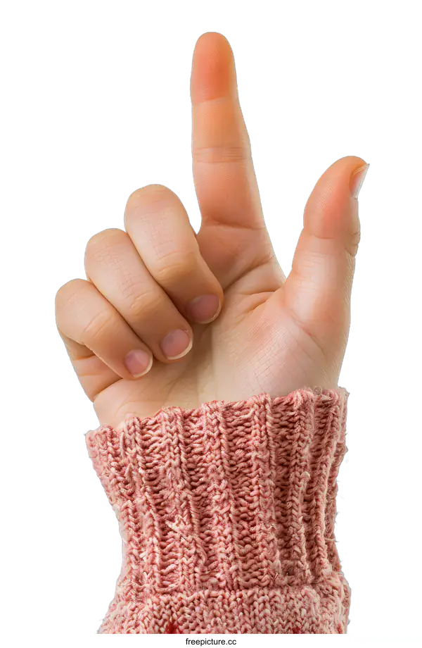 [Transparent Background PNG]A hand with the index finger pointing up