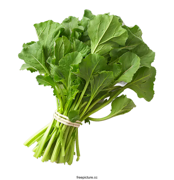 [Transparent Background PNG]A bunch of fresh green turnip tops