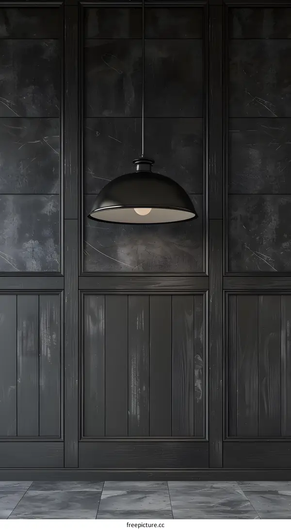 Black and White Interior Design with Hanging Pendant Light