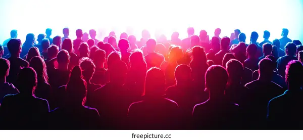 Silhouette Crowd at a Concert or Event