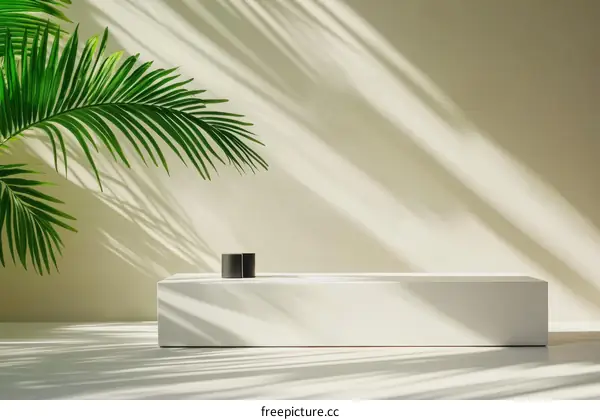Minimalist White Display Podium with Tropical Palm Leaf Shadows