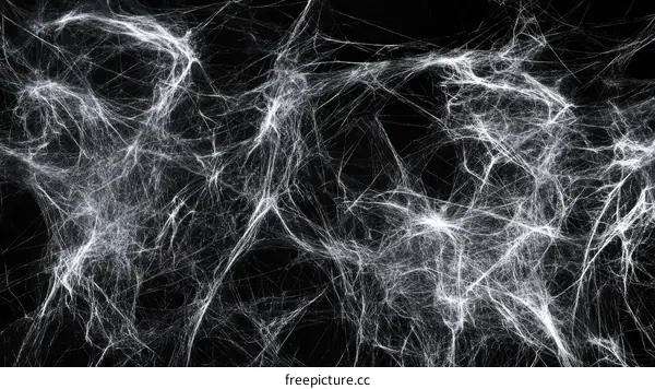 Spooky Spider Webs Halloween Background