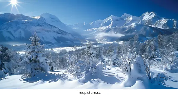 Snow-covered mountain peaks and trees