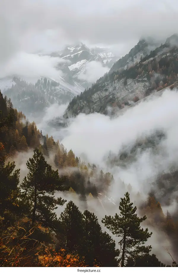 Misty Mountain Forest Landscape