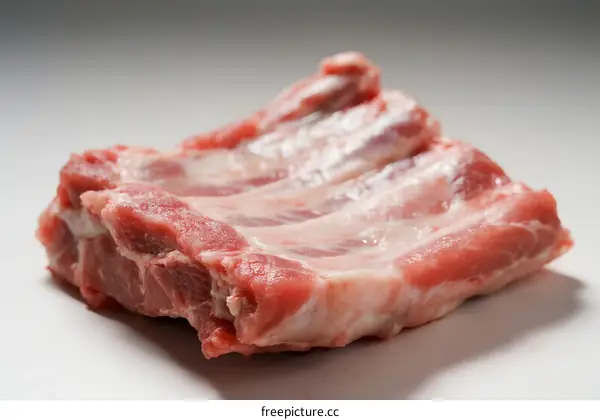 Raw pork ribs with visible fat and meat texture close-up