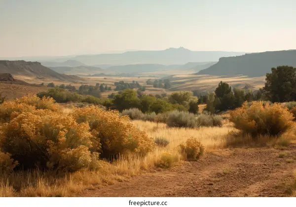 Vast Valley Landscape in Autumnal Hues