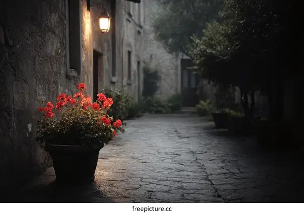 Charming Italian Courtyard at Dusk with Red Geraniums