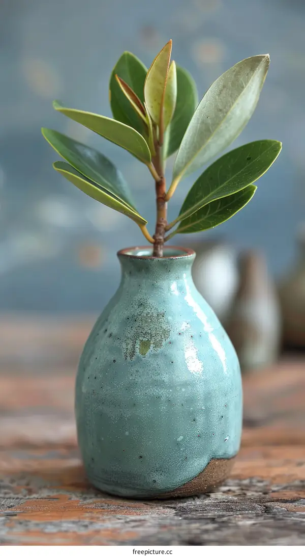 Small green plant in a blue ceramic vase