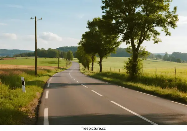 A peaceful country road with green fields and trees on both sides