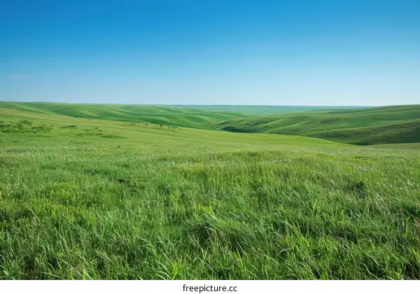 Green rolling hills under blue sky