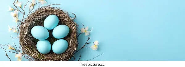 Pastel Blue Easter Eggs in a Nest with Spring Flowers