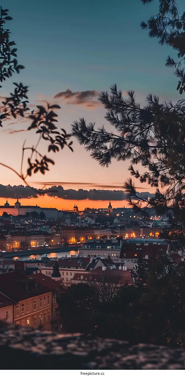 Cityscape of Prague at Sunset with Tree Silhouette