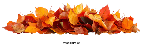 [Transparent Background PNG]Autumn Leaves Pile Close-up