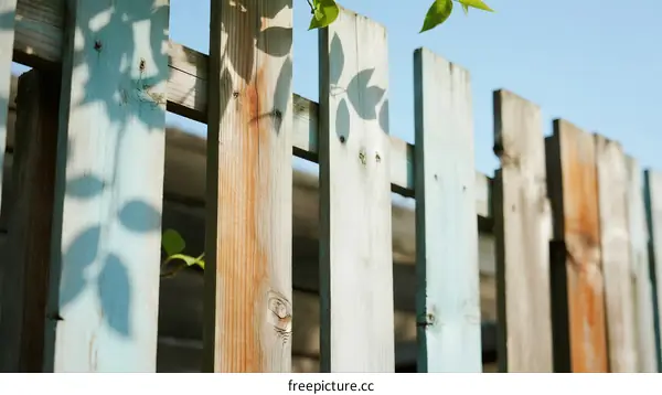 Close-up of weathered wooden fence with green plant leaves