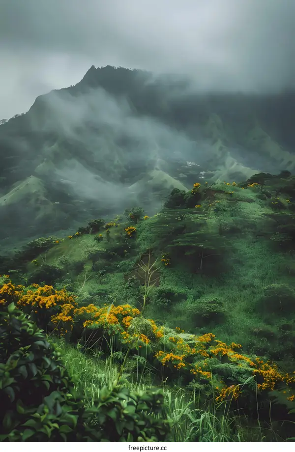 Green Mountains Covered in Mist with Yellow Flowers