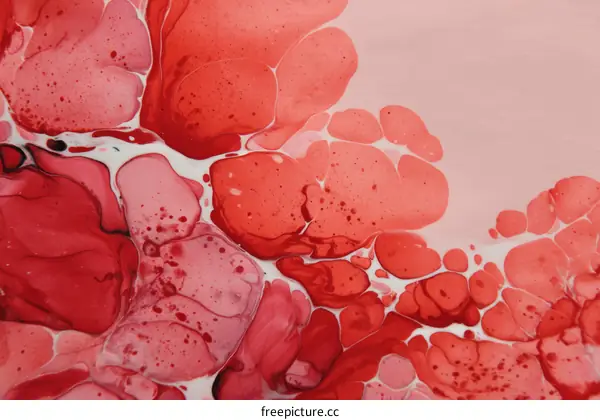 Abstract Red and Pink Fluid Art