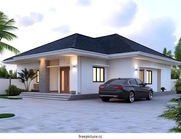 Modern House Design with Car and Palm Trees