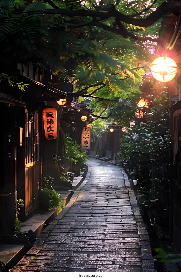 Stone path in a traditional Japanese town