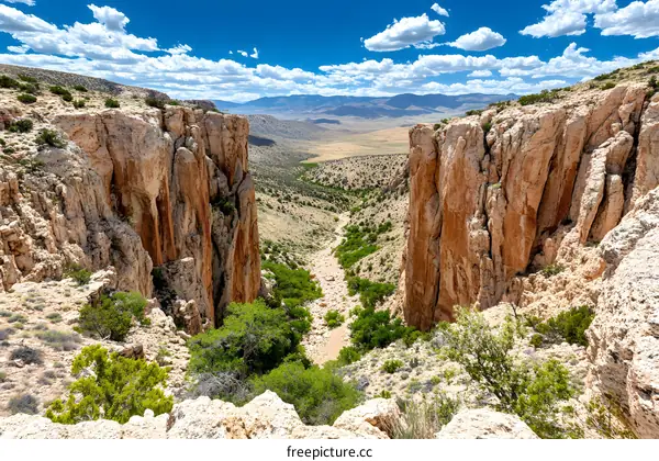 Aerial View of a Canyon in the Desert with a Stream at the Bottom