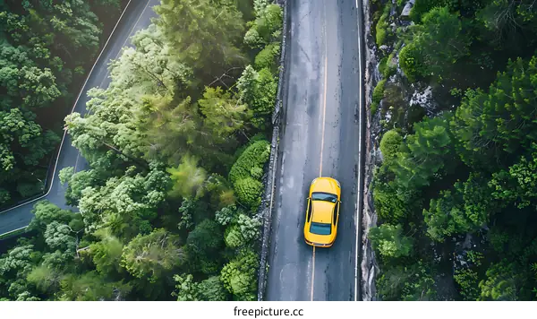 Yellow Car Driving on Winding Road Through Lush Forest