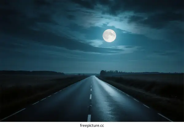A moonlit road extending into the distance under a cloudy sky