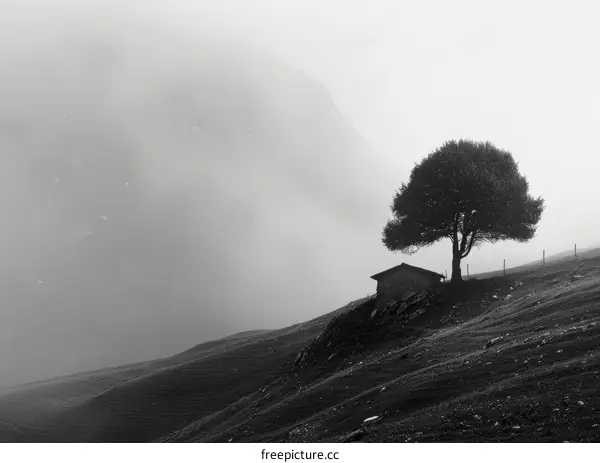 Desolate Hut on a Misty Hillside