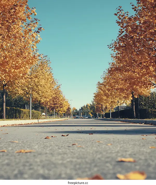Autumn Road with Golden Trees