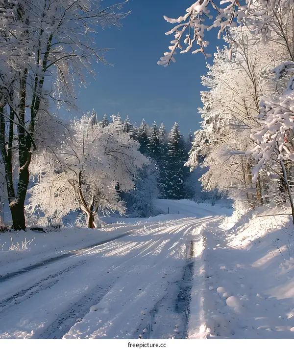 Snowy Road Through Forest with Blue Sky